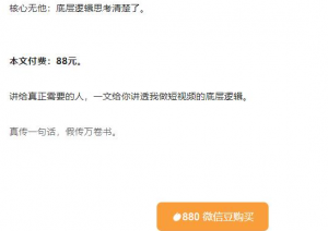 抖音神秘牛人：我做抖音这件事（3）3000字长文（付费文章）-欢迎访问本站